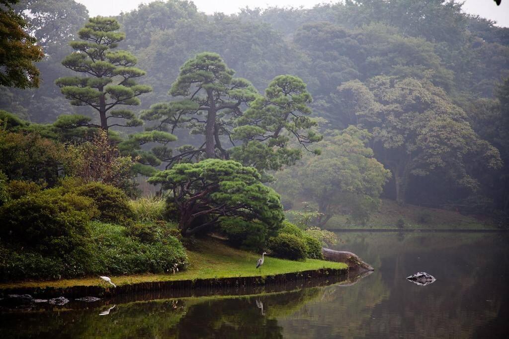 Tora Hotel Tokyo-Rikugienn 寅ホテル 六義園 A ภายนอก รูปภาพ